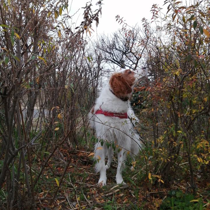 1a829a6c 1322 4241 ae2c 714afd9ff6b0 1579248060826