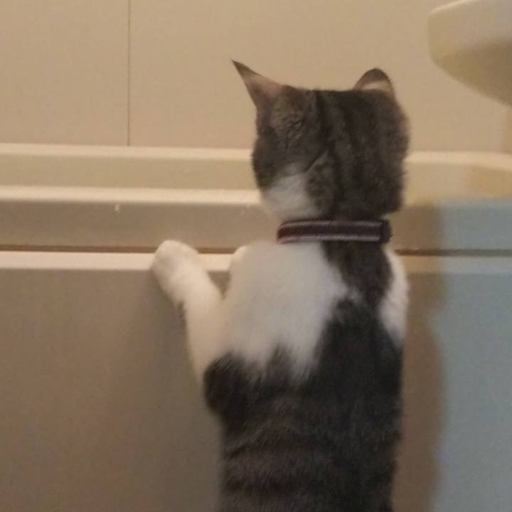 1a82c364 c311 42a4 96dd 7d4583a8ad6d 1612357934507