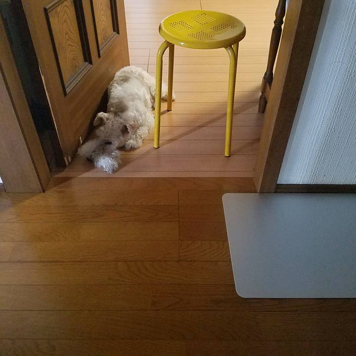 1a82d1ef 4cf0 4b12 abff 7d06af6fed27 1533855875237