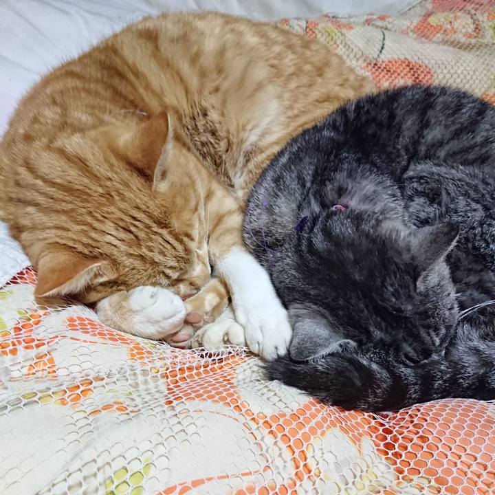 1a82e85a 83dc 4dd9 951c ebbc421f3212 1581165609079