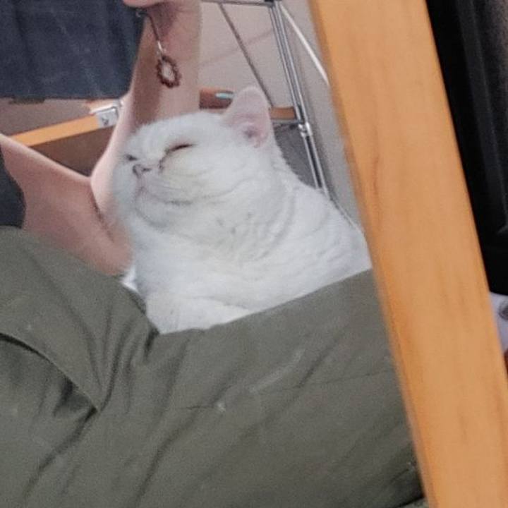 1a831d72 f048 4d17 b351 e7f4ade28d5a 1656846875362