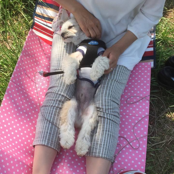 1a834d88 bb88 41f5 a239 192a798c9372 1556963329618