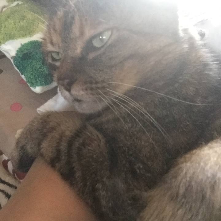 1a83988e 92fc 45ea bec7 c87ed3dd571f 1562740408142