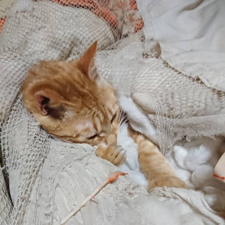 1a83aeb8 a2f8 4c54 867b 8182bb08f6f9 1647118663740