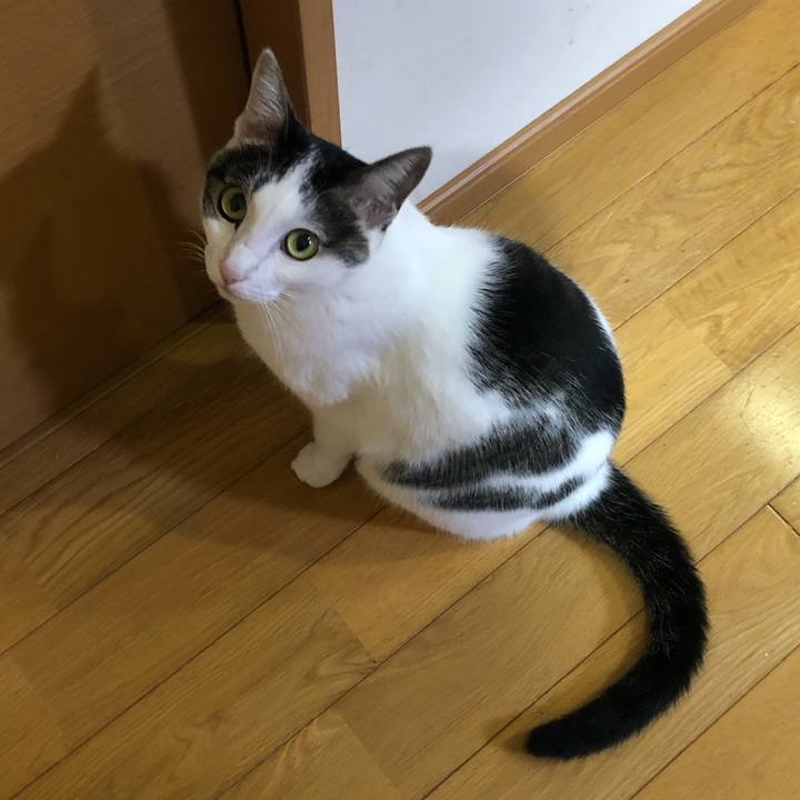 1a83e0a0 cf35 46eb 940f 3866c1644a70 1699192177242