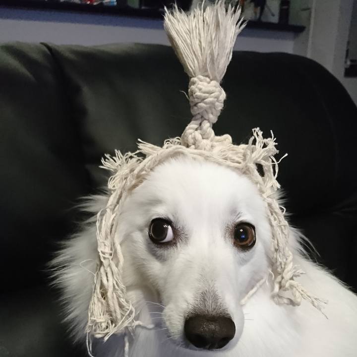 1a83fa2d e0bc 401d 93c7 fce73c7fd533 1540993642470