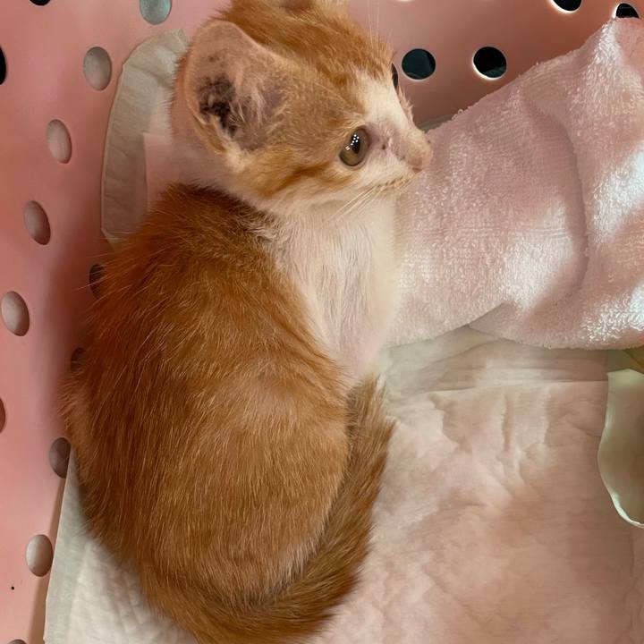 1a842fb7 5360 415c 93a6 b2643692f8c4 1694833384156