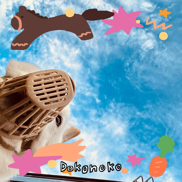 1a843840 bda0 4916 ad2e 8a3b098cfb08 1771820465534