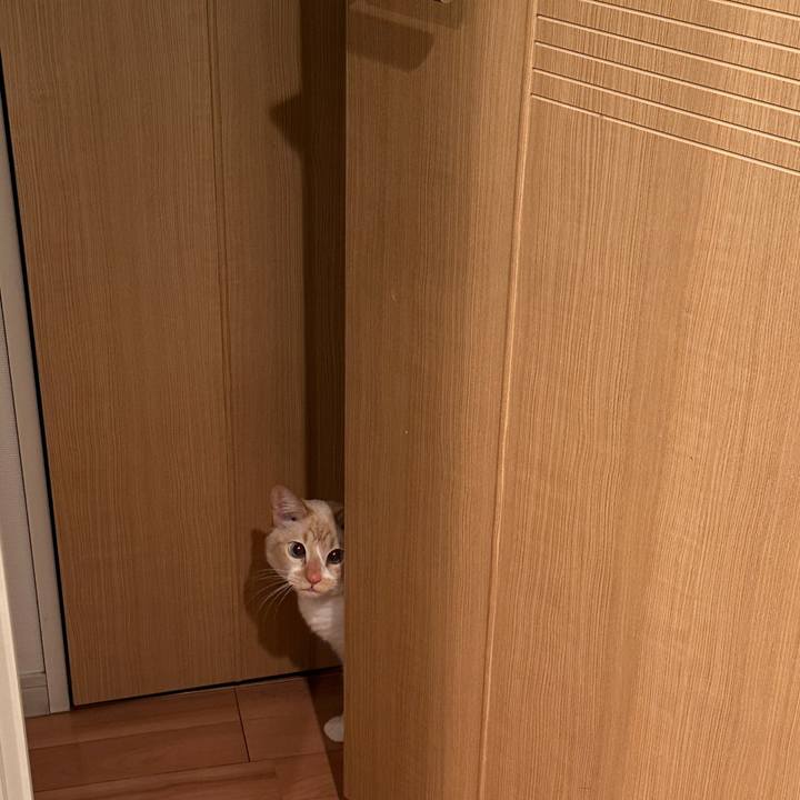 1a8438e2 2594 4ccc 9074 2f688f82efc1 1771245276793