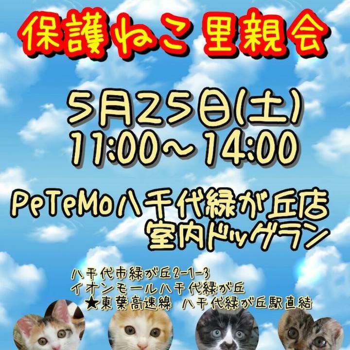 1a843a1f 2c98 459c a4c3 af2b4e4b47b8 1557133271115