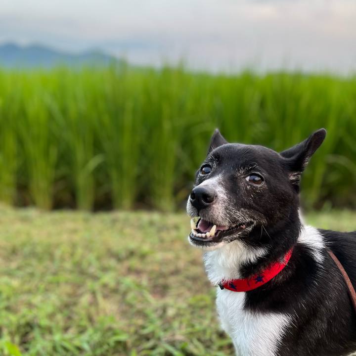 1a845568 a780 4e2d b676 4667f5af0e30 1658750113027