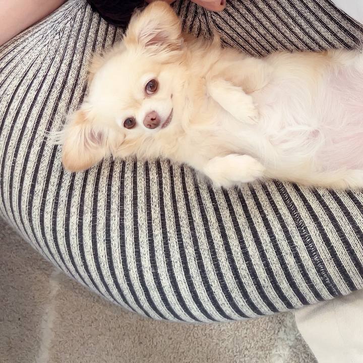 1a8457fc 2a72 4f8c a76b 767b9c18ead4 1753072234227