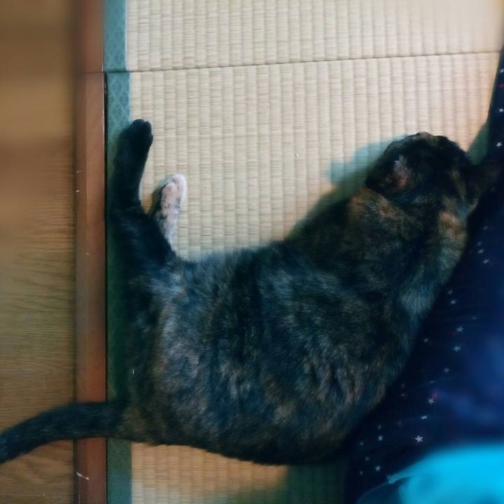 1a84787f c110 4df5 a079 8e393df01583 1569201322050