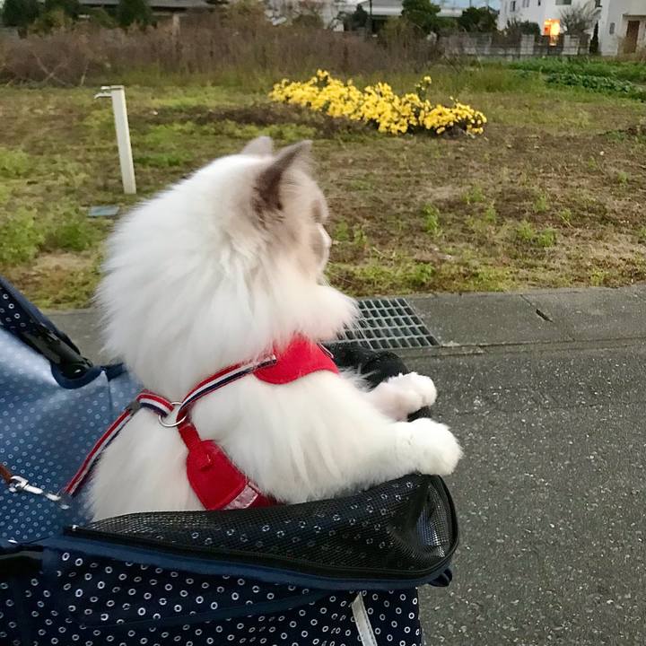 1a847b09 eddc 4c18 b889 75b08d4347ba 1604954514073