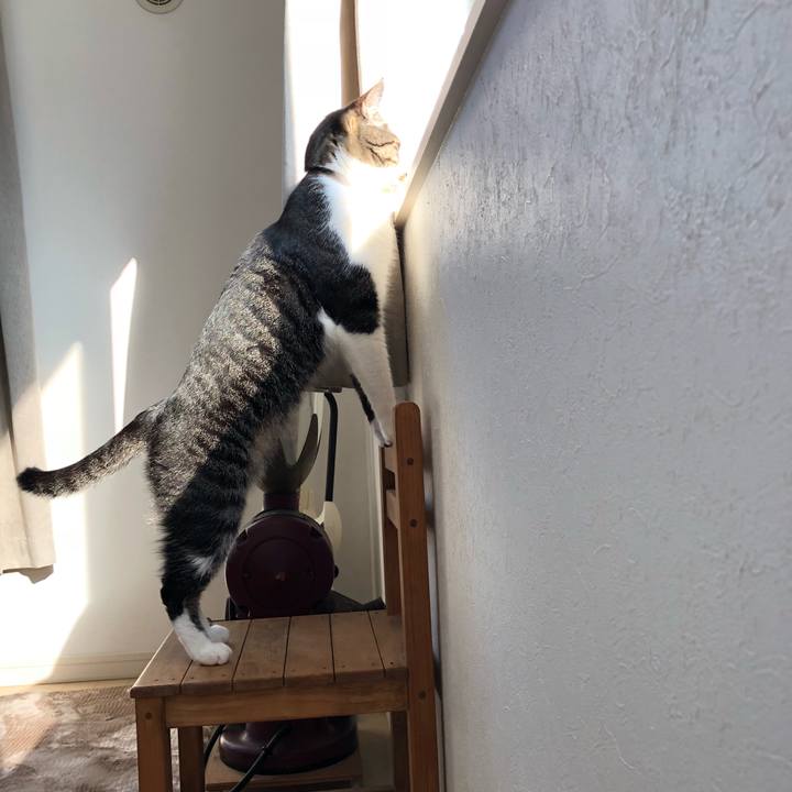 1a847fd2 5ac3 40d0 acab 4d150ae0e8fa 1516694487538