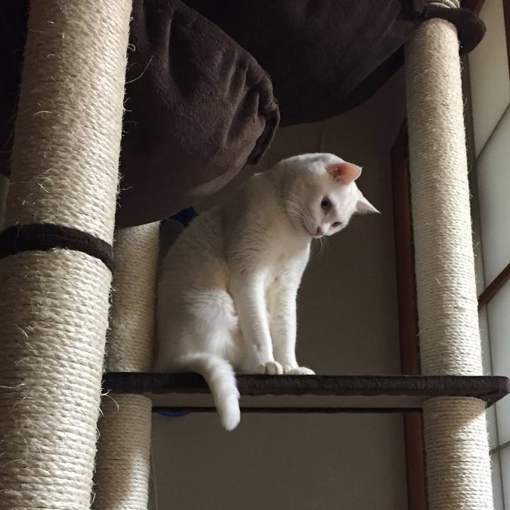 1a84a5ab f2ff 467c 919b 38b9e345b498 1514974612493