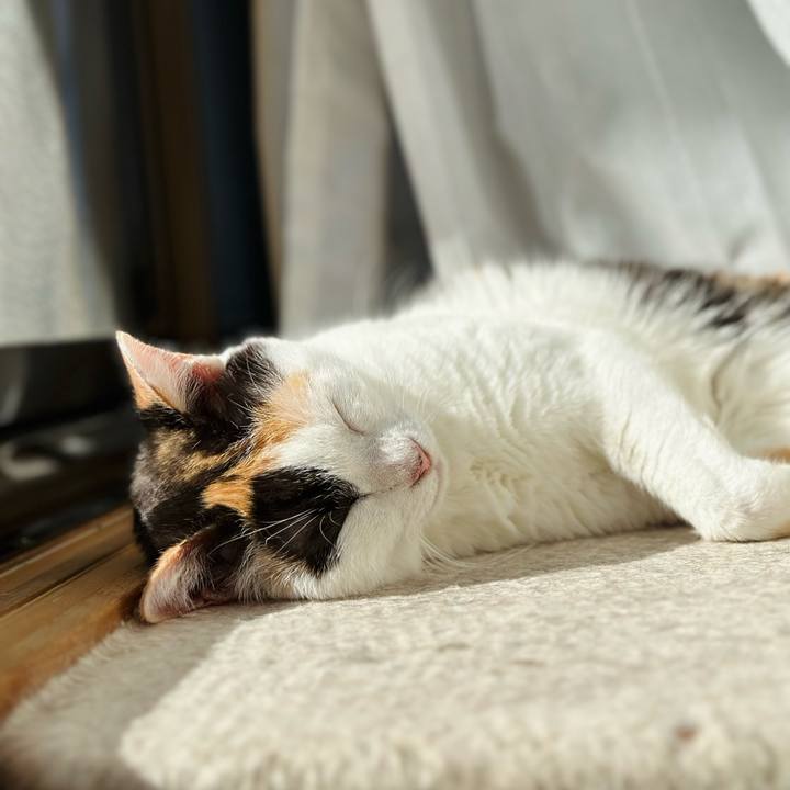 1a84c5f8 3cc6 48a8 bad3 002fcad58587 1667958764822