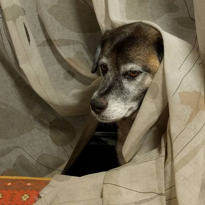 1a84daf1 d916 4d5c 981f 443eb2d24ad8 1532639098364