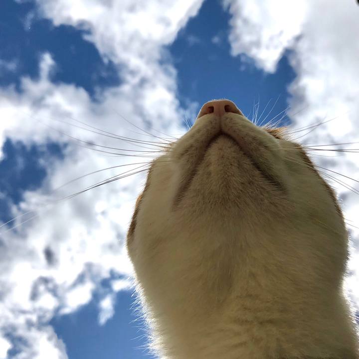 1a84f600 5733 44a6 b3d4 062828812602 1538363230573