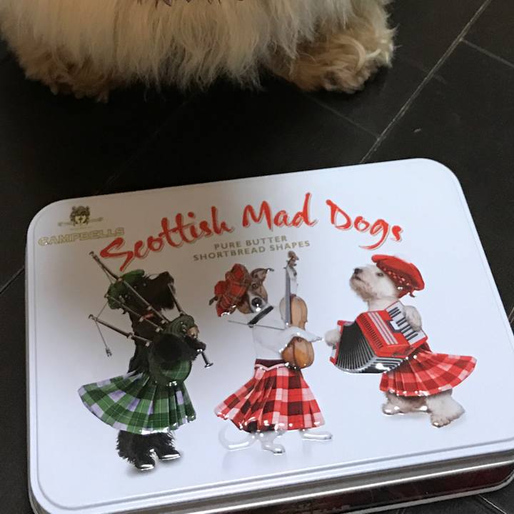 1a8507fe c106 43b9 9d3b c9968ebccace 1541341697481