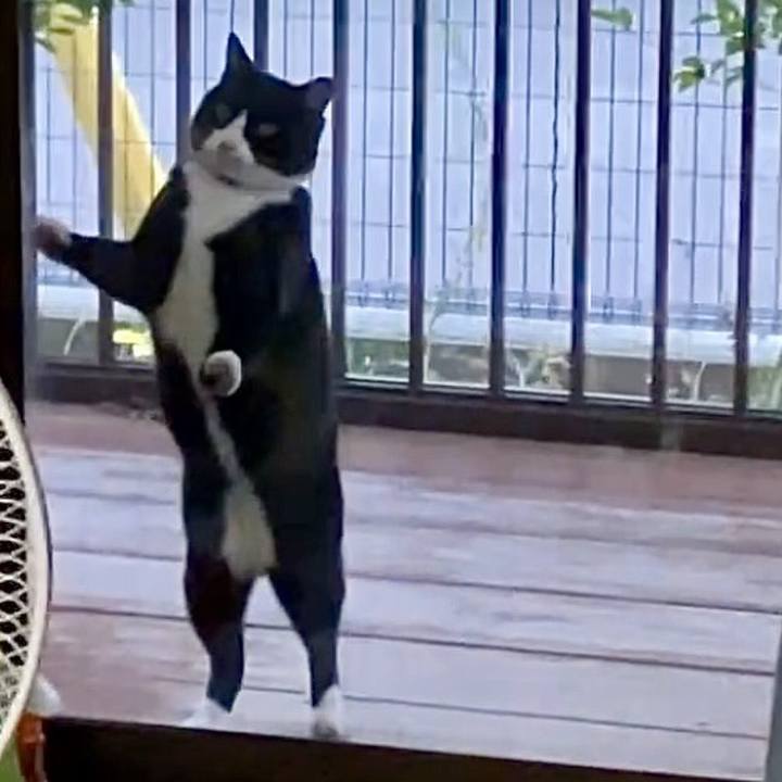 1a85084f 6a86 4978 a091 ffdb474d1d90 1735382634906