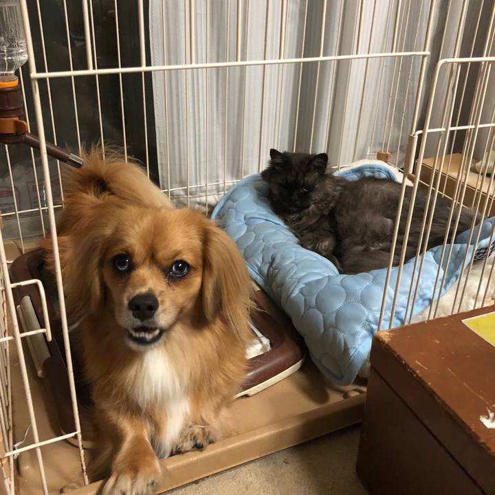 1a850a7b 3a30 4d52 ab4b bfb5531b6ce2 1532204981993