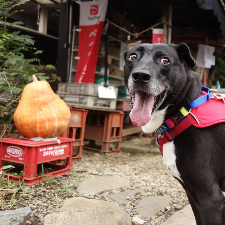 1a853a4c cc14 48c7 b21e ade8f82f8577 1666661313567