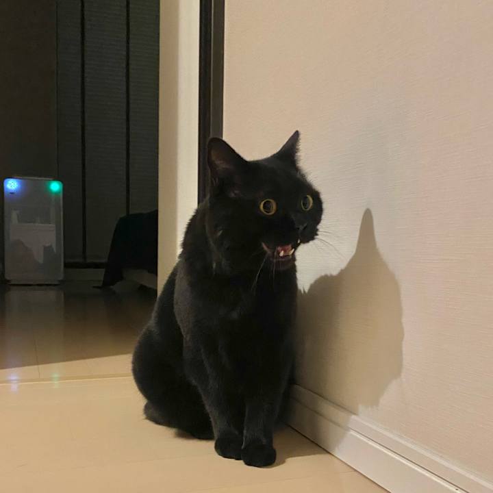 1a855307 7081 42ed a576 07eec9f0ff7c 1653649786299