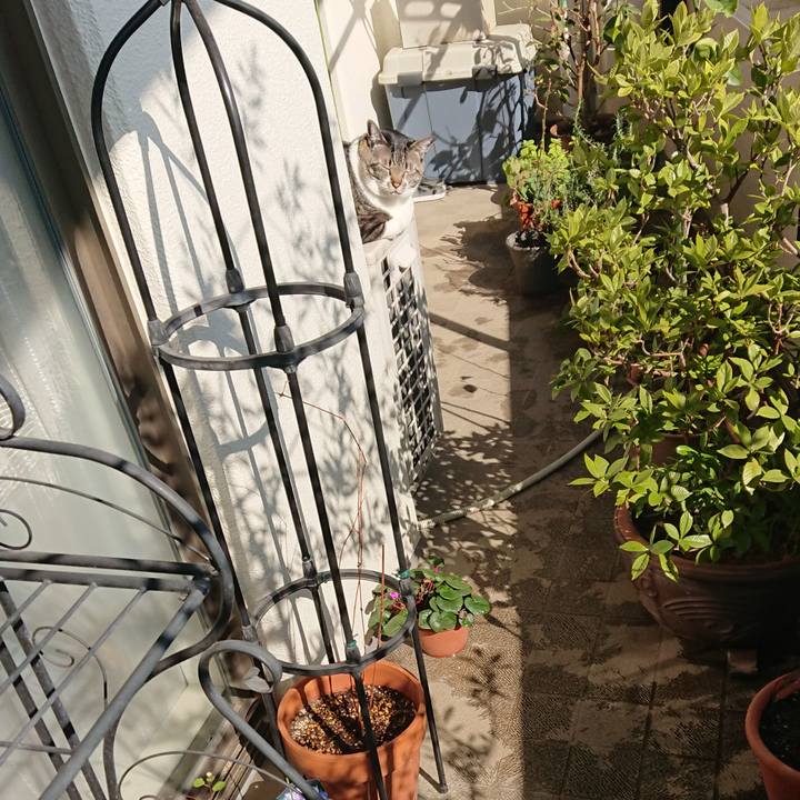 1a856ba8 4578 4cce 8bae ed81ef35af0f 1550883493729