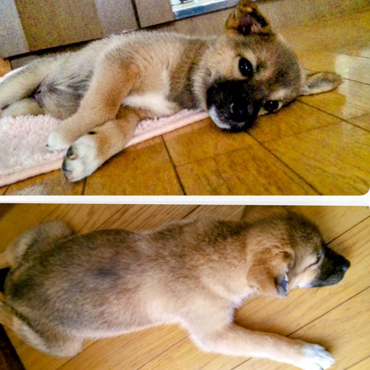 1a85bbd6 c07a 496b 85e4 5f8006bfb05c 1694009010655