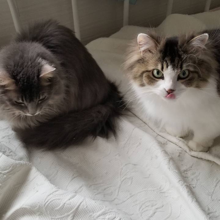 1a85d8f2 dbdb 4c4e 90fb c3cf15b4aee3 1556575537271