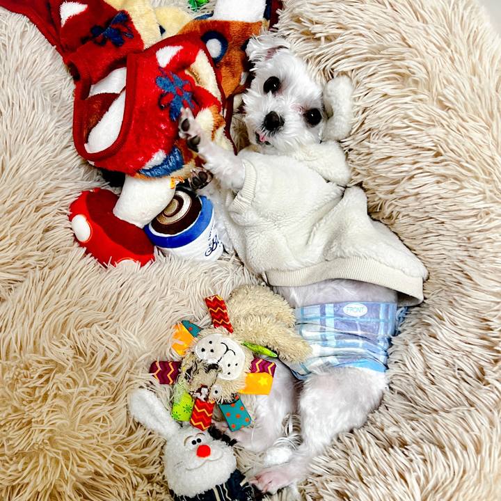 1a861006 1ed4 4916 ac74 fb3559d8c2f6 1675851570838