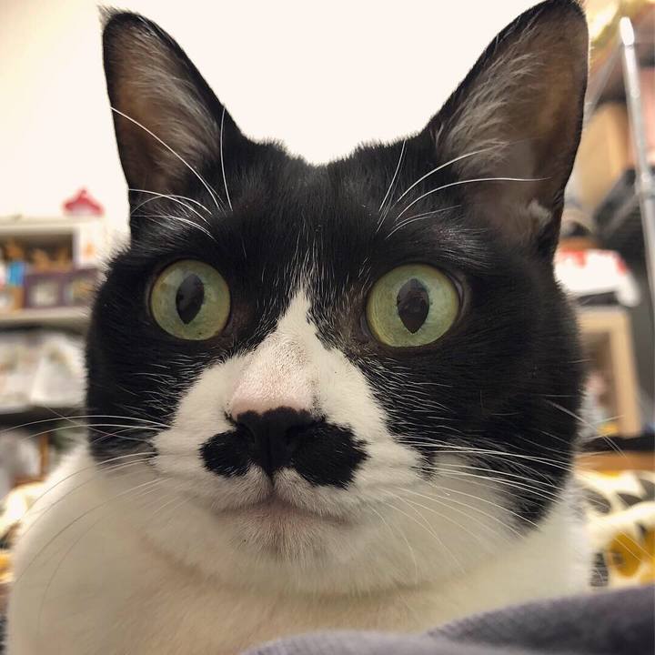 1a862f82 b661 43de 95e4 80fc19037b23 1551975823379