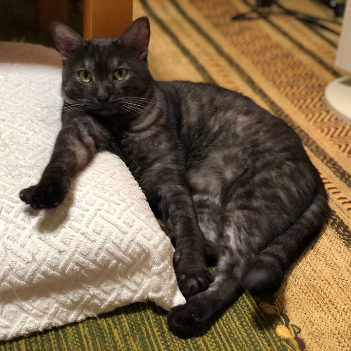 1a868b65 84b5 4e63 acd5 375b2d6baed7 1602941269962