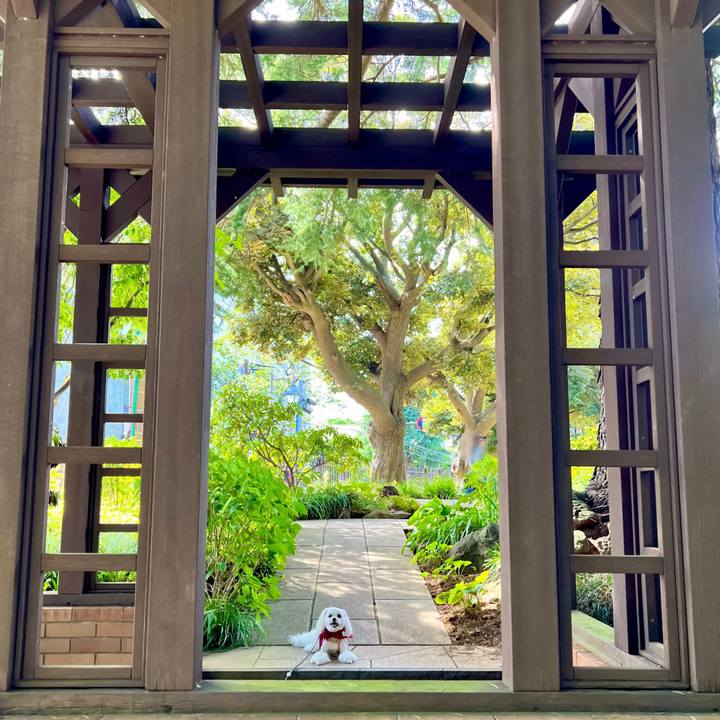 1a86a48e 6388 4526 9336 3d60001e3c5f 1664941415785