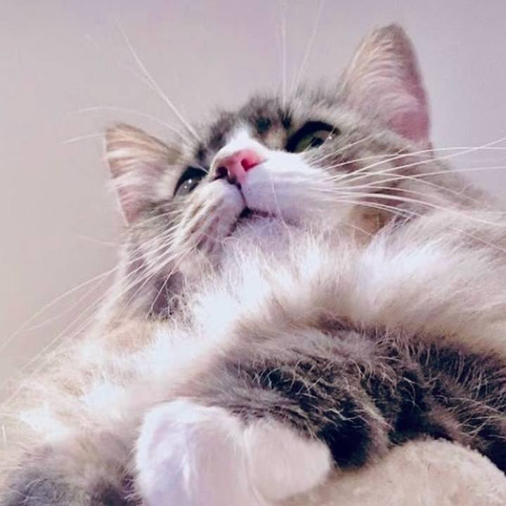 1a86dda6 3bb0 465b a07c e2b54bf99bc8 1730135795043