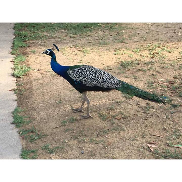 1a873fd8 8406 46c4 af72 1bde12aaff46 1531633153633