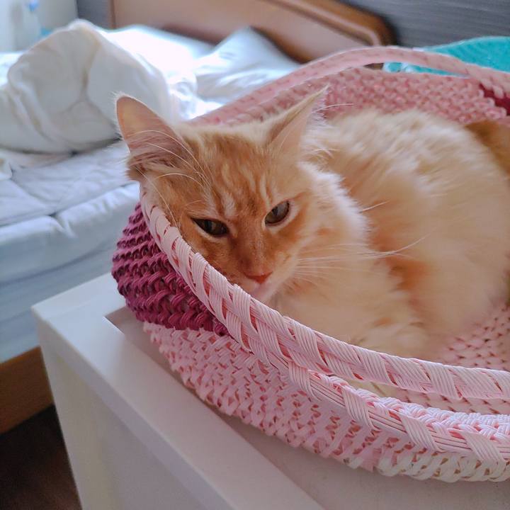 1a87593f 690a 487d 9f1c 8ea2967012dd 1689377068304