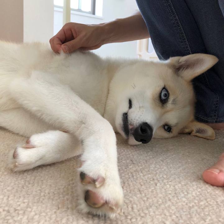 1a876617 41f2 487f b133 e0f756e76ff1 1529897093211