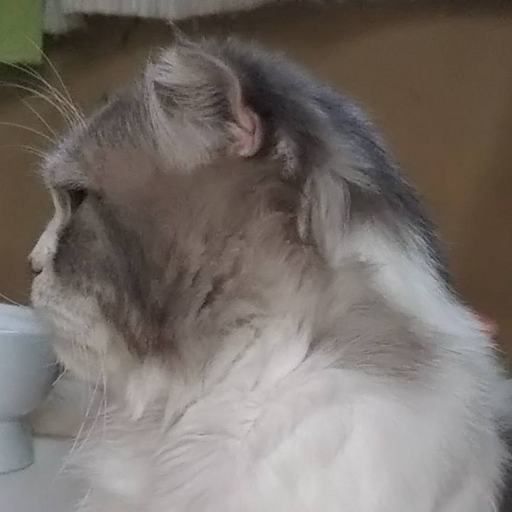 1a87fa33 535e 4c56 ae36 97f2733617f4 1625996823842