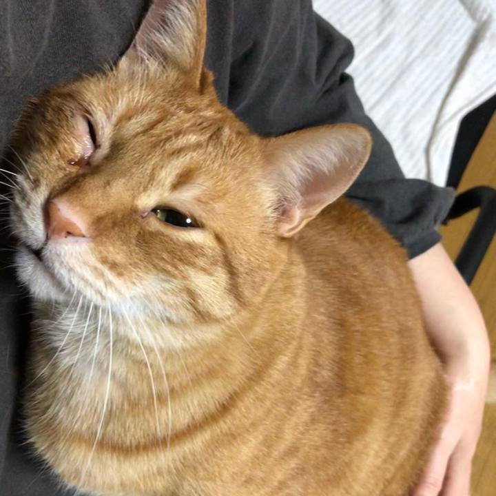 1a881a2a 84d0 4f37 8700 8e10ad9c7157 1643035524473