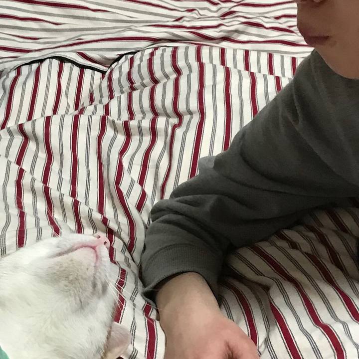 1a881ab4 3a65 4e83 a49a bec4b7aa525c 1521370065639