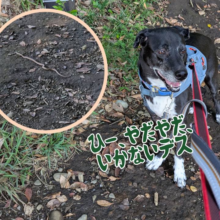 1a881f95 876e 450f be75 bf26fc69cf79 1728864547780