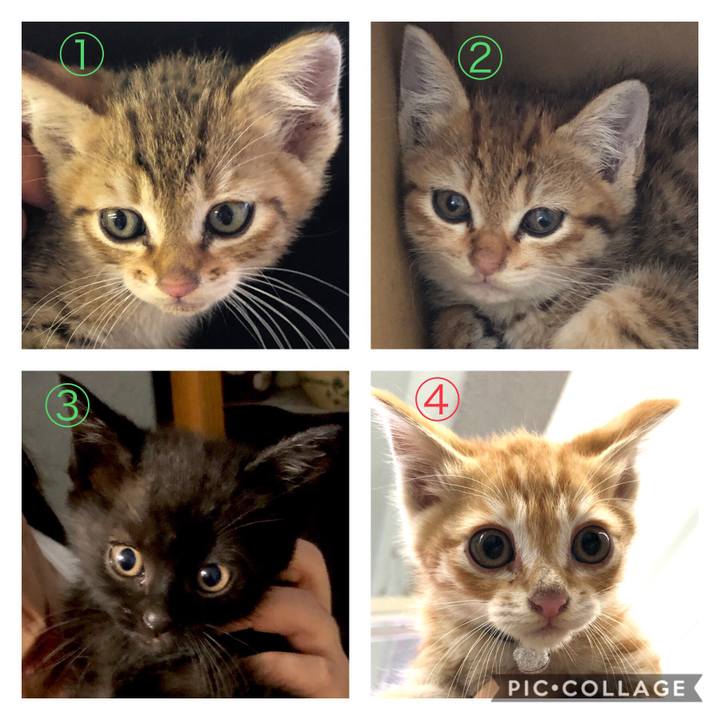 1a882213 a18d 4e80 876a e54775f58a3d 1590136723715