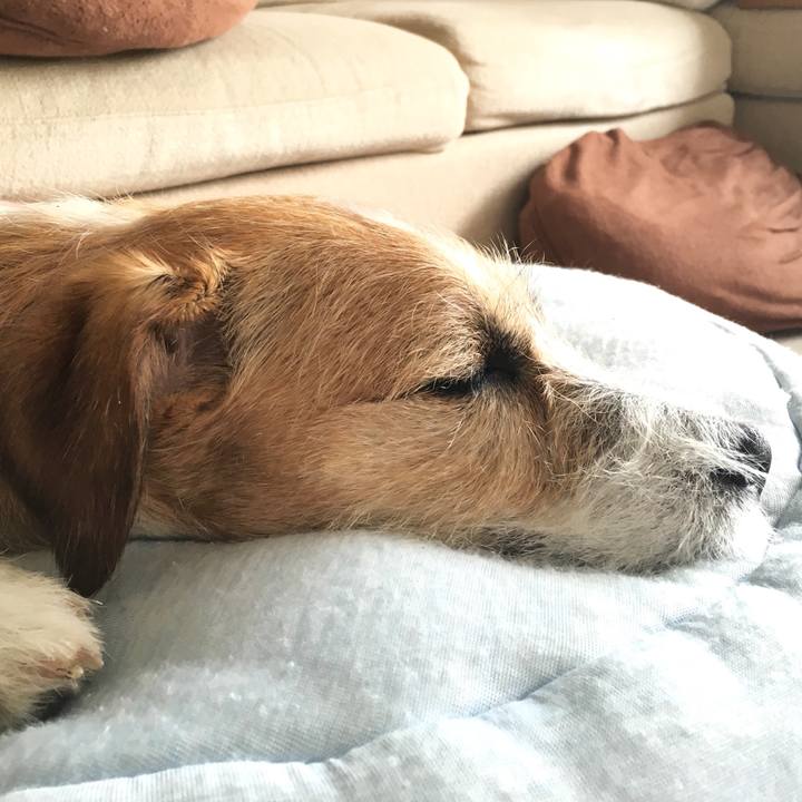 1a883705 0c08 415d a6d8 ac80c59a1d8f 1569025987155