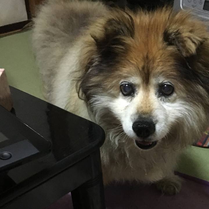 1a883b3f b967 4b05 afe3 870259652661 1558900495146