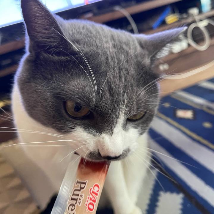 1a884d3f a48b 4147 b95d cb6521ac9677 1660027937450