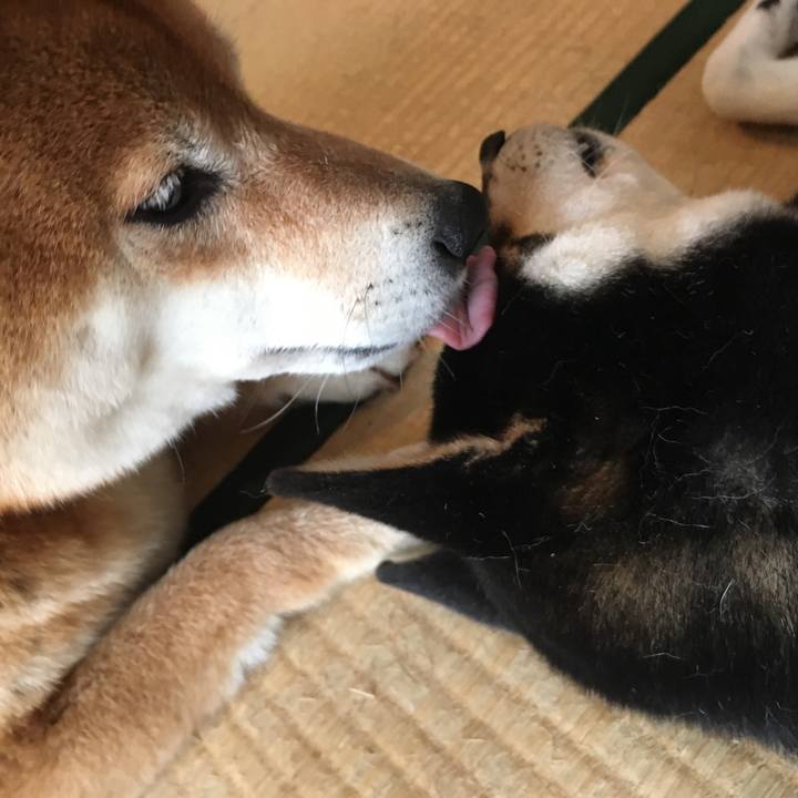 1a886190 e56f 494c 87c8 1eebcaaafc3d 1598053547425