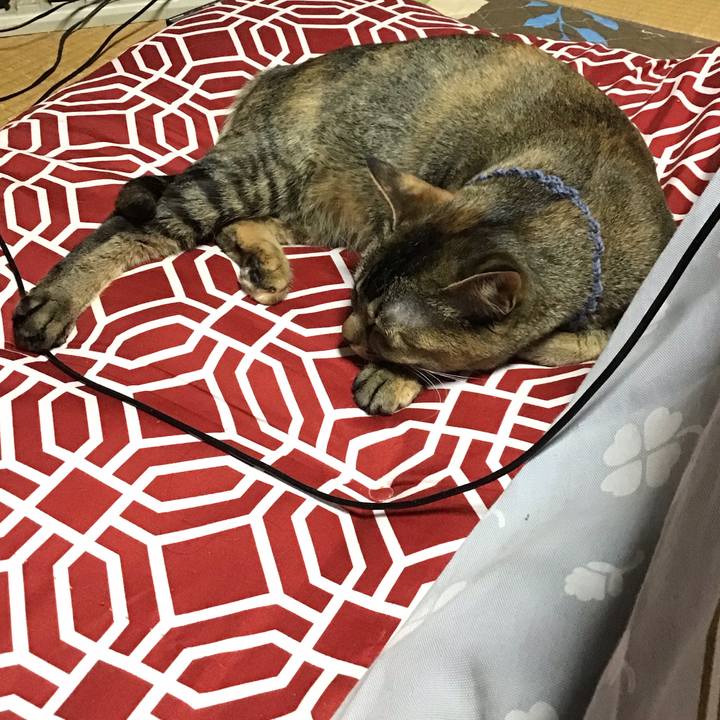 1a88690f 9ef0 4a60 834e 56ea05fe604b 1616760452747