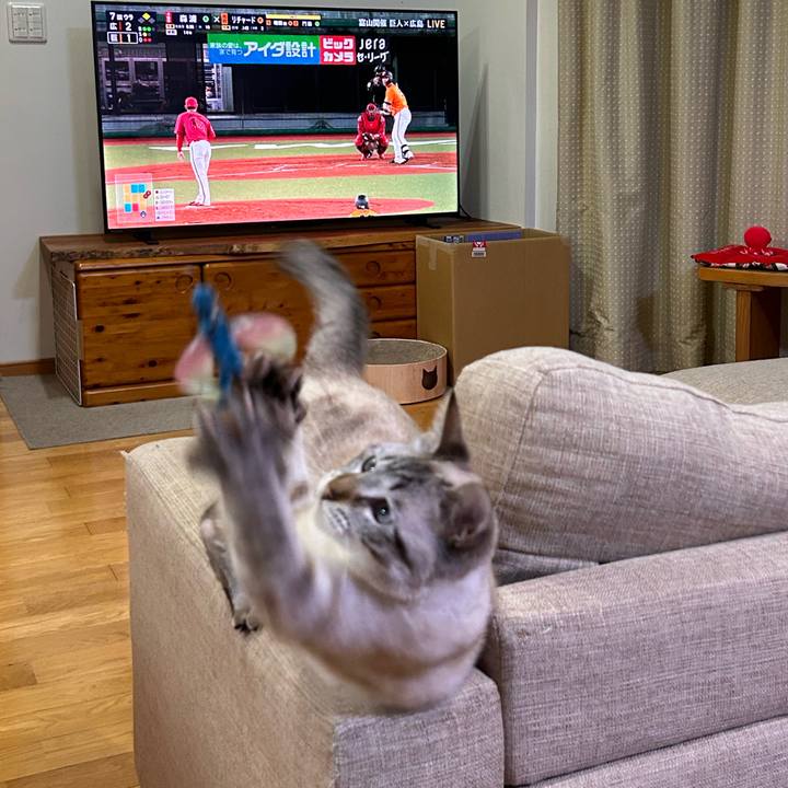 1a88eb5e 2aae 45e6 b204 89b94766d4c4 1748345415153